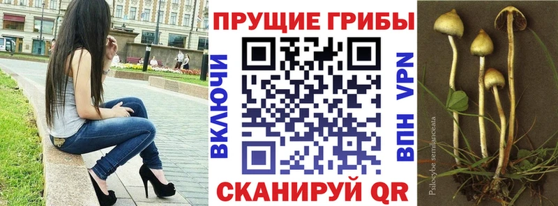 Галлюциногенные грибы ЛСД Октябрьский