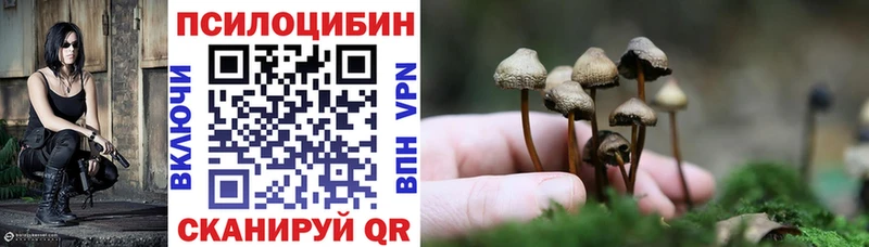 Купить  Октябрьский  Псилоцибиновые грибы прущие грибы 