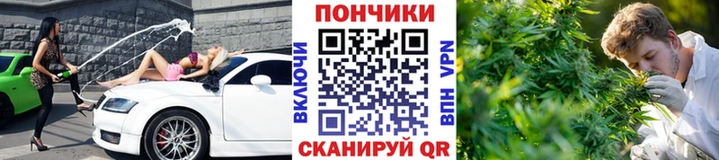 Купить  Октябрьский  Канабис индика 
